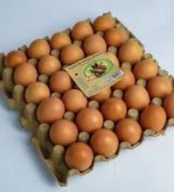 The Organic Grocer (Alphajiri Greengrocer)