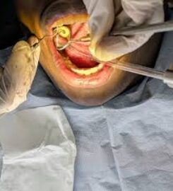  House of Dentistry