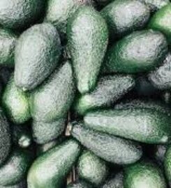 Kilimani Farmers Market