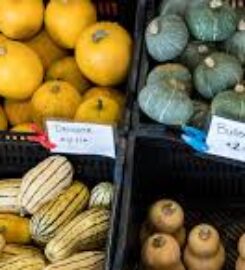 Zucchini Greengrocers