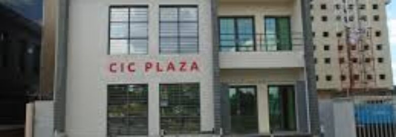 Cic Insurance Group