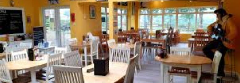 Delvis Cafe & Bakery