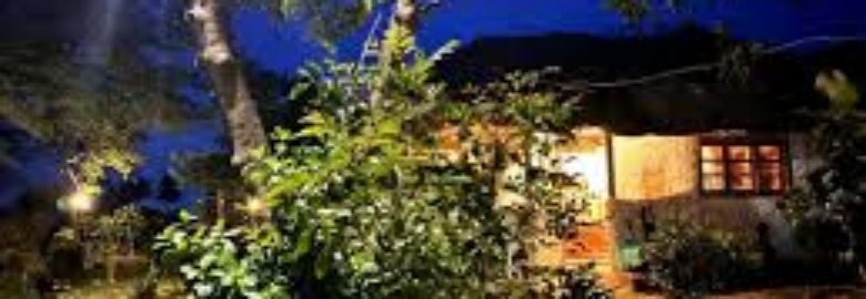 Podocarpus Cottages