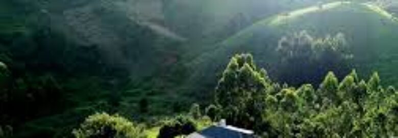 Kimakia Tea Cottages