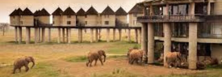 Salt Lick Safari lodge