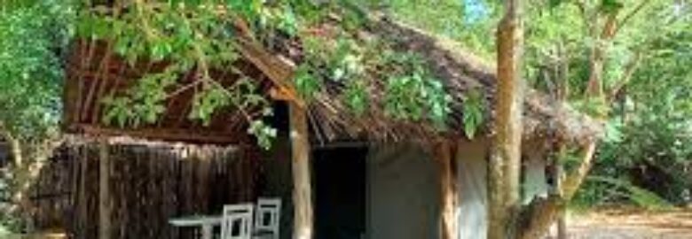 Bamba Kofi Tented Camp