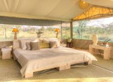 Olare Motorogi Conservancy Camp