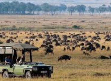Olare Motorogi Conservancy Camp