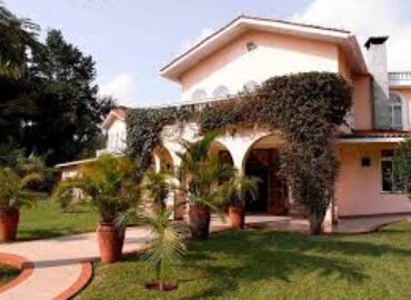Home In Langata