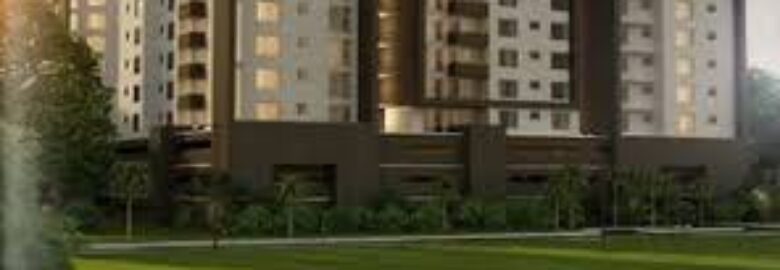AMS Properties Ltd.