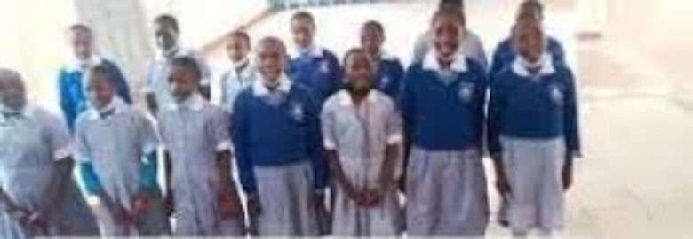 St. Mary’s Primary School Ongata Rongai